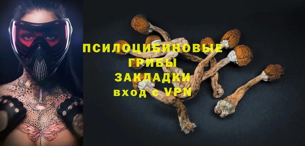 a pvp Абаза